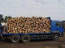 palety euro produkcja palety_23.jpg