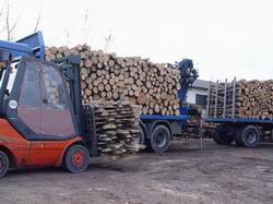 palety euro produkcja palety_35.jpg