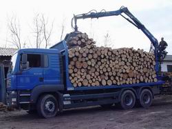 palety euro produkcja palety_37.jpg