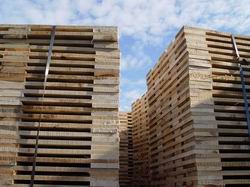 palety euro produkcja palety_5.jpg